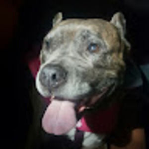 Meet your Posher, Aj